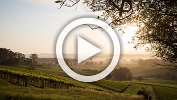 2022 Toyota RAV4 XSE Auto 2WD